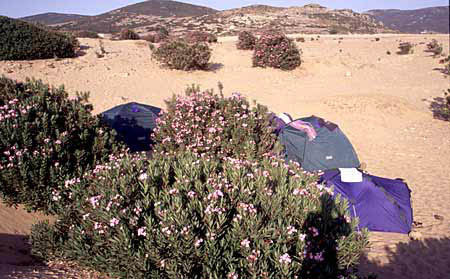 bivouac_dunes02