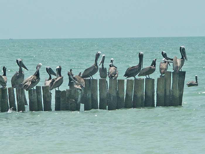 05_31_plage-campeche3