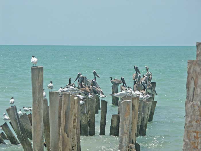 05_31_plage-campeche4