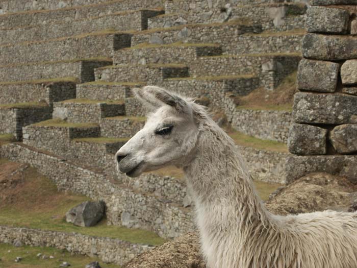 034_machupicchu