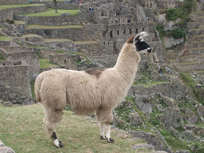 100_machupicchu