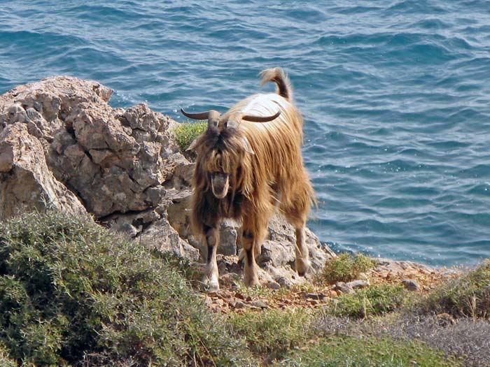 05-06_heraklion_skafia_loutro_25