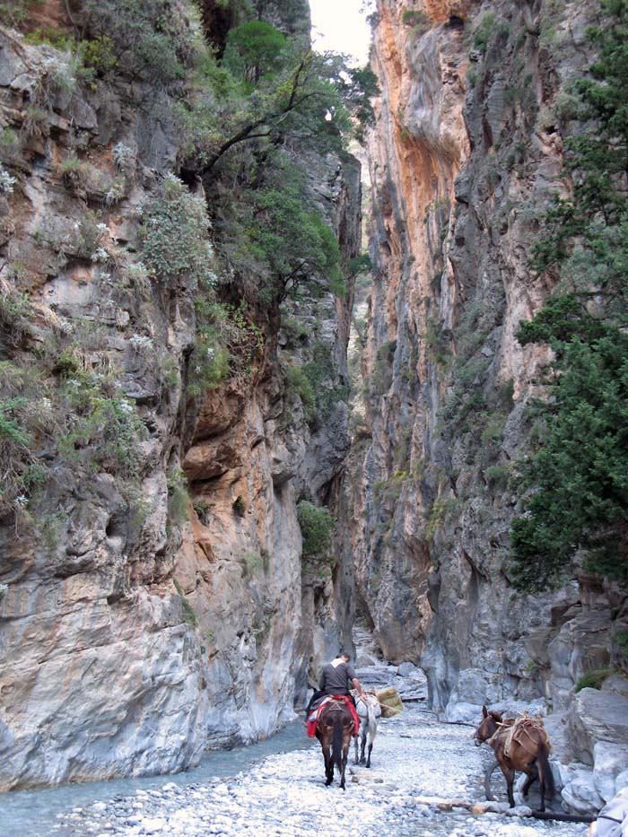 07-06_gorges-samaria_omalos_18