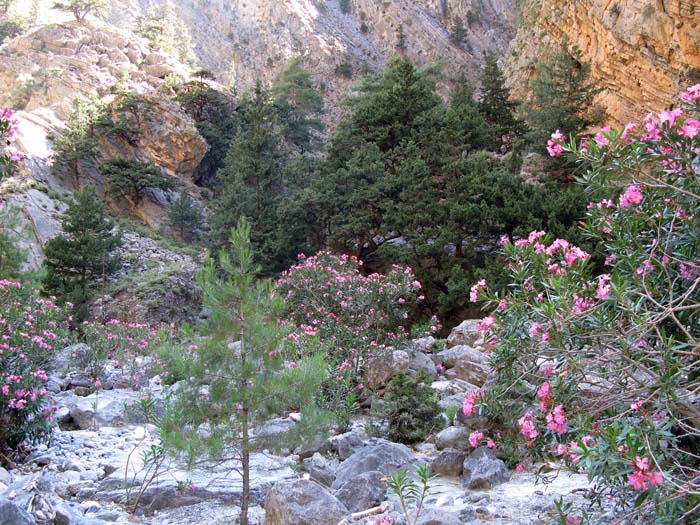 07-06_gorges-samaria_omalos_34