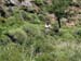 07-06_gorges-samaria_omalos_46