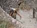 07-06_gorges-samaria_omalos_57