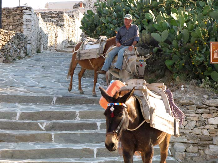 16-06_sikinos_episkopi_02