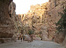 100923_Petra-49