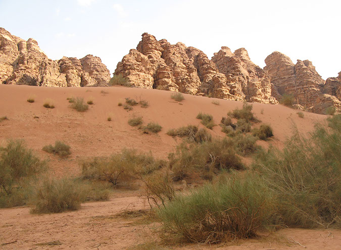 100925_Wadi-Rum-012