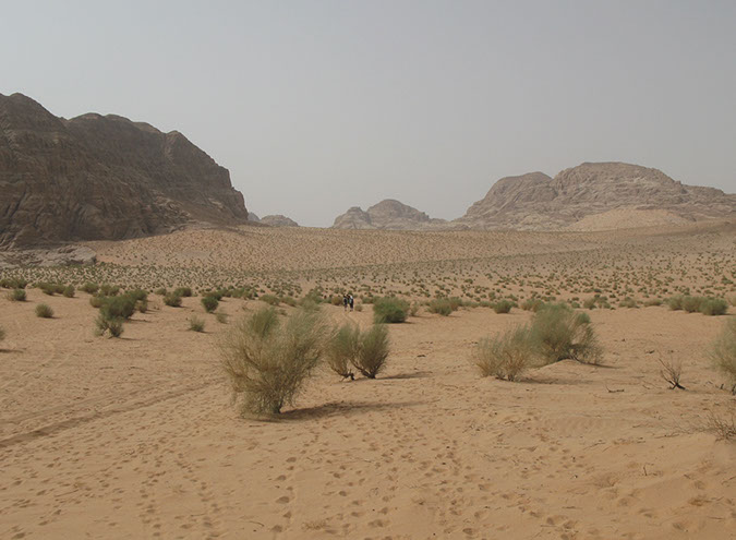 100925_Wadi-Rum-086