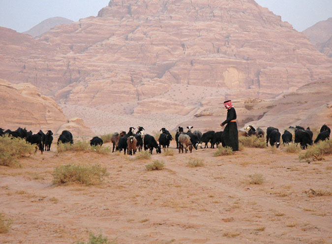 100925_Wadi-Rum-101