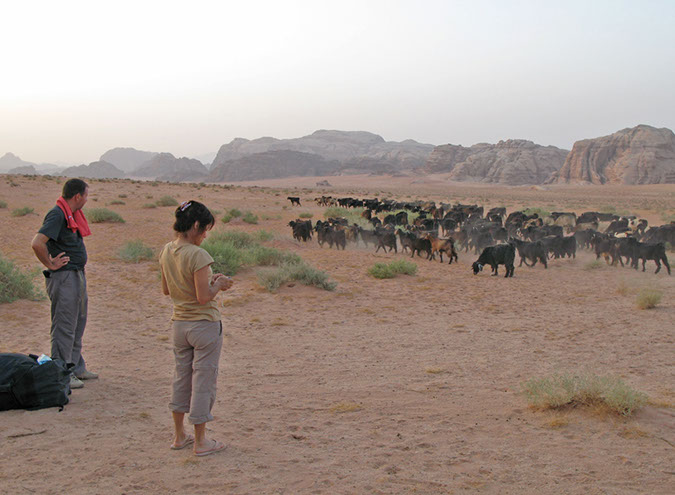 100925_Wadi-Rum-102