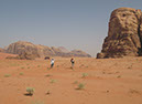 100925_Wadi-Rum-038