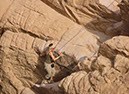 100925_Wadi-Rum-058