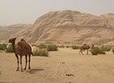 100925_Wadi-Rum-073