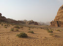 100925_Wadi-Rum-075