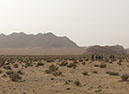 100925_Wadi-Rum-083