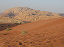 100925_Wadi-Rum-120