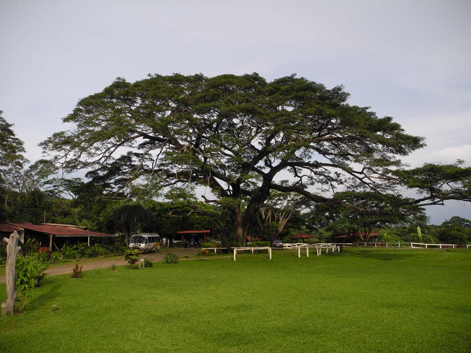 Circuit-Costa-Rica-047