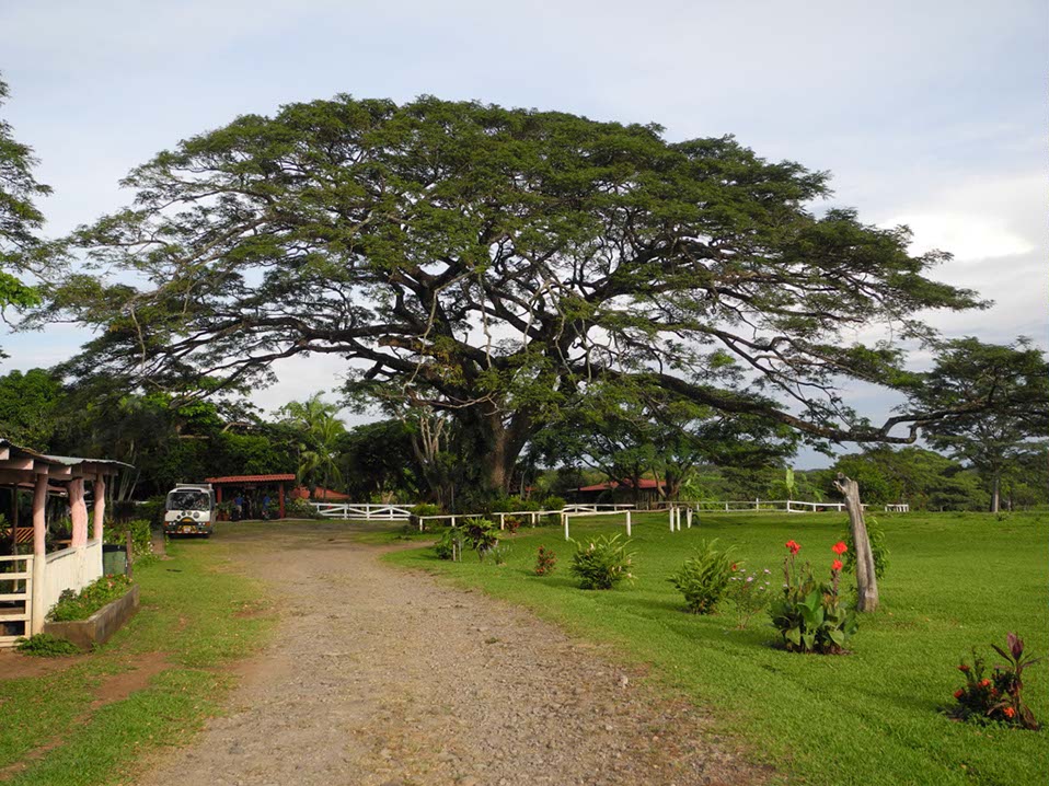 Circuit-Costa-Rica-046