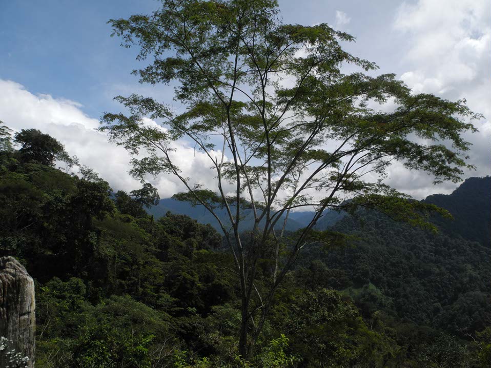 Circuit-Costa-Rica-195