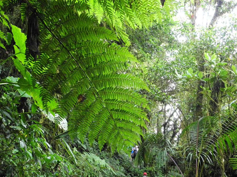 Circuit-Costa-Rica-154