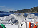 %_tempFileName180924_Tadoussac-47-GF%